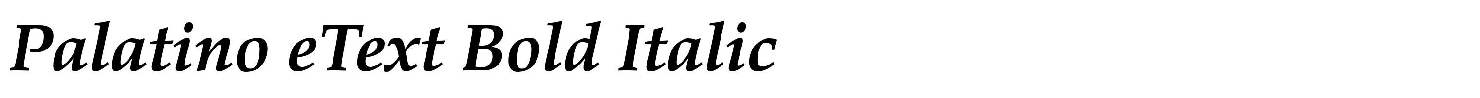 Palatino eText Bold Italic